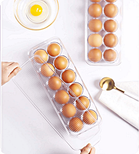 Egg Storage Box with Lid & Handles