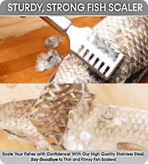 Stainless Steel Fish Scale Remover Kitchen Tool