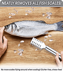 Stainless Steel Fish Scale Remover Kitchen Tool