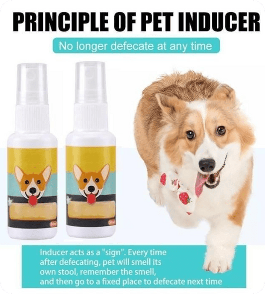 Pawsome Pee-Poo Toilet Training Spray: Train Pets (Pack of 2)