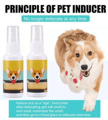 Pawsome Pee-Poo Toilet Training Spray: Train Pets (Pack of 2)