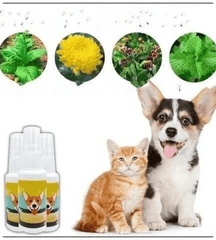 Pawsome Pee-Poo Toilet Training Spray: Train Pets (Pack of 2)