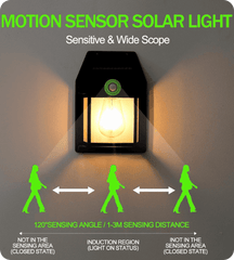 Wireless Solar Wall Lantern with Motion Sensor